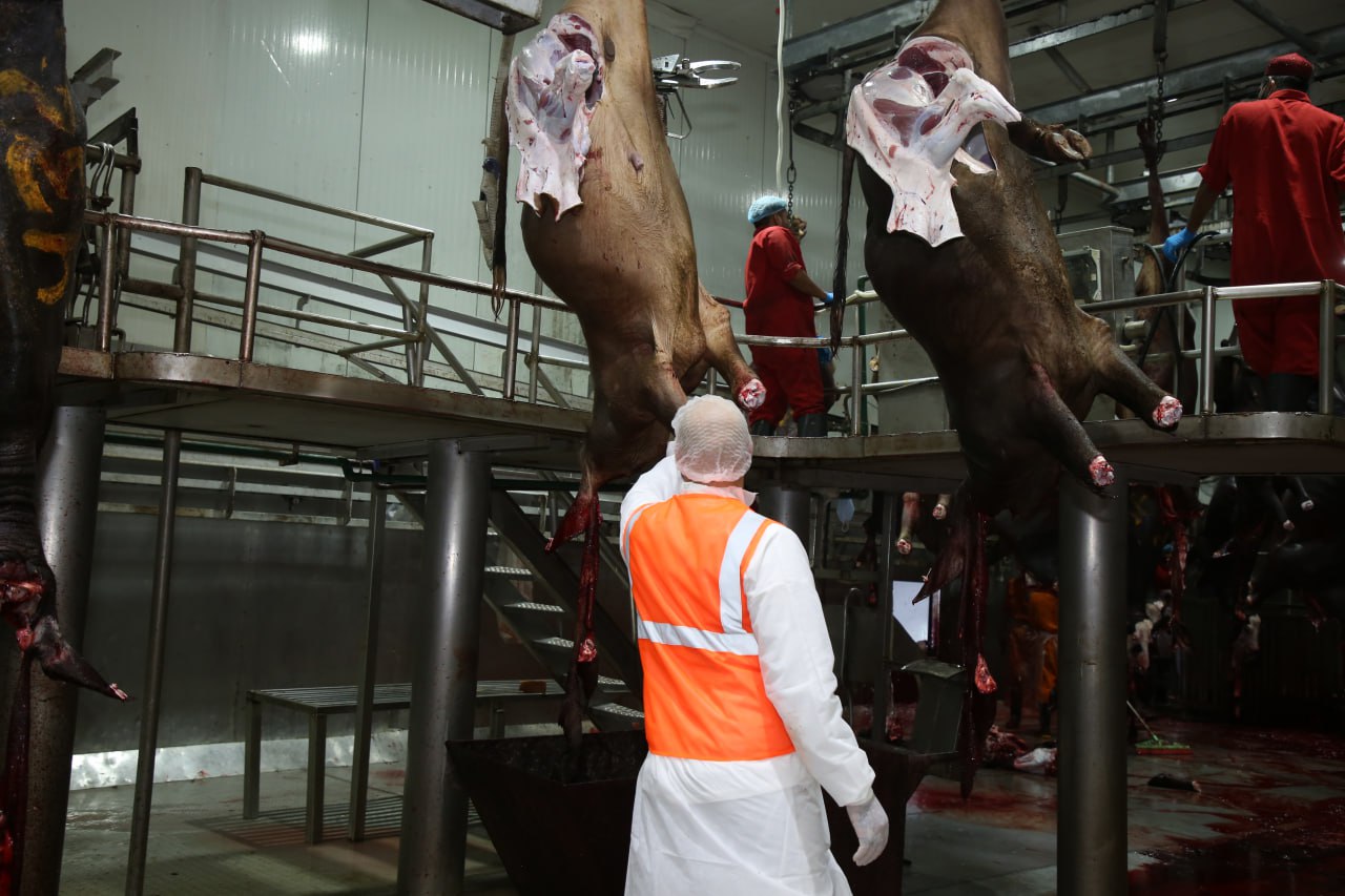 Eid Al-Adha Qurbani Meat Distribution